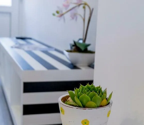 Le Petit Apartamento