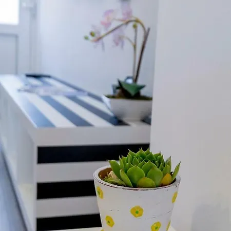 Le Petit Apartamento